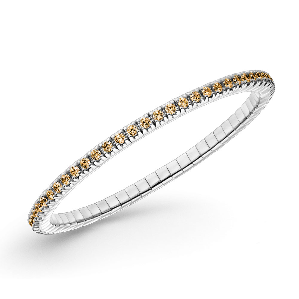 17921986_1 17921986_1